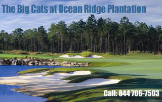 The Big Cats Golf Courses at Ocean Ridge Plantation